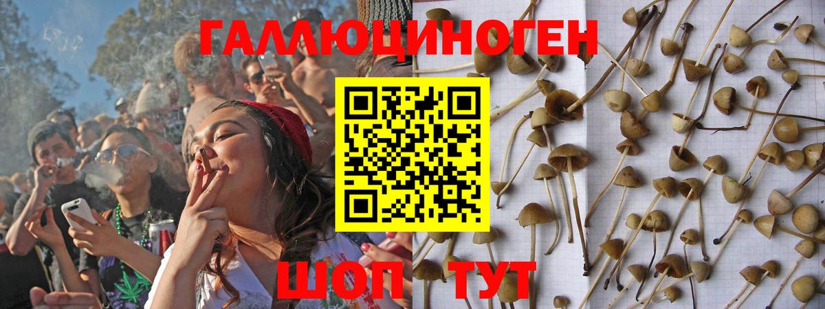 Трёхгорный  Галлюциногенные грибы GOLDEN TEACHER  купить   Галлюциногенные грибы GOLDEN TEACHER  Вход с VPN 